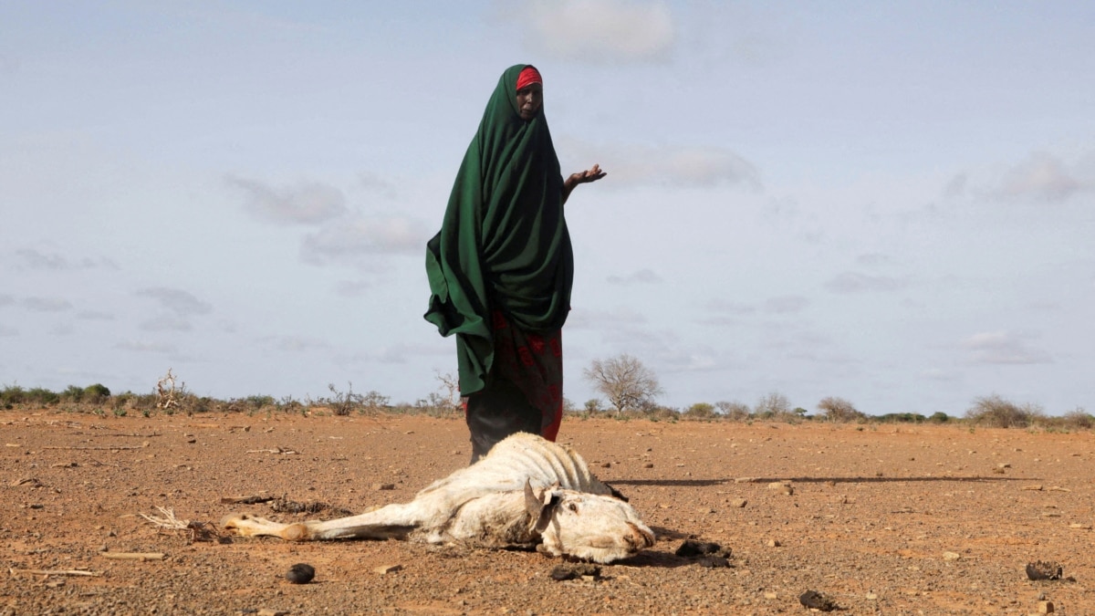 Somalia Must Strengthen Resilience Against Climate Shocks