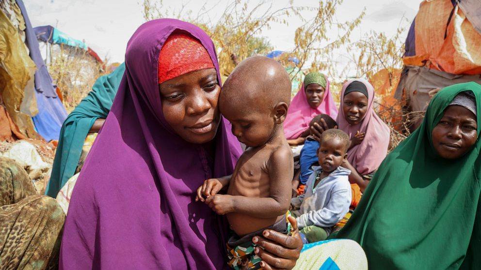 UN says Somalia faces a `dire hunger emergency' but aid has been cut over lack of funding