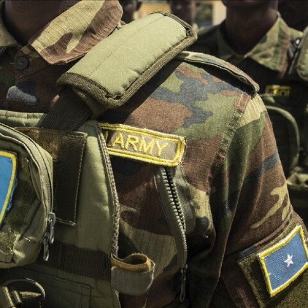 Somalia army kills dozens of Al-Shabaab terrorists