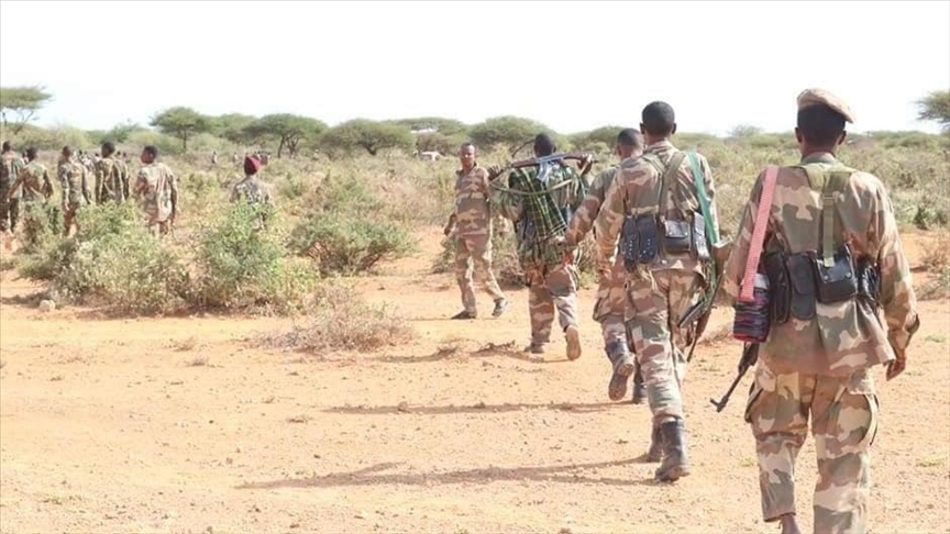 Twin operations in Somalia kill more than 22 al-Shabaab terrorists