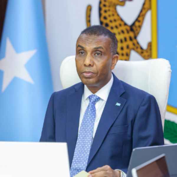 Somalia: FGS Plans New Federal-Aligned Administration in Awdal Region
