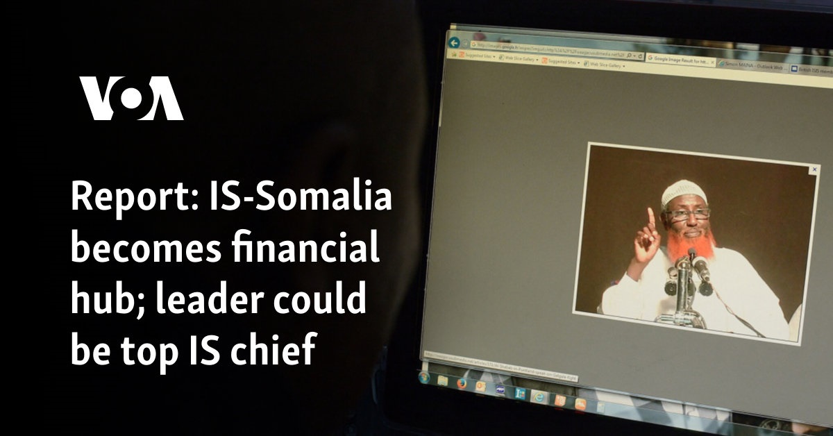 Report: IS-Somalia becomes financial hub; leader could be top IS chief